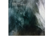 Schallplatte Avishai Cohen - Cross My Palm with Silver (ECM) im Test, Bild 1