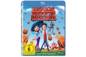 Blu-ray Film Wolkig, mit Aussicht auf Fleischb&auml;llchen 2D (Sony Pictures) im Test, Bild 1