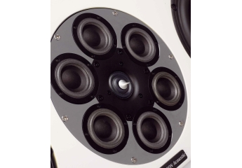 Einzeltest: Neuron Acoustic Majestic (M, C, R/T)